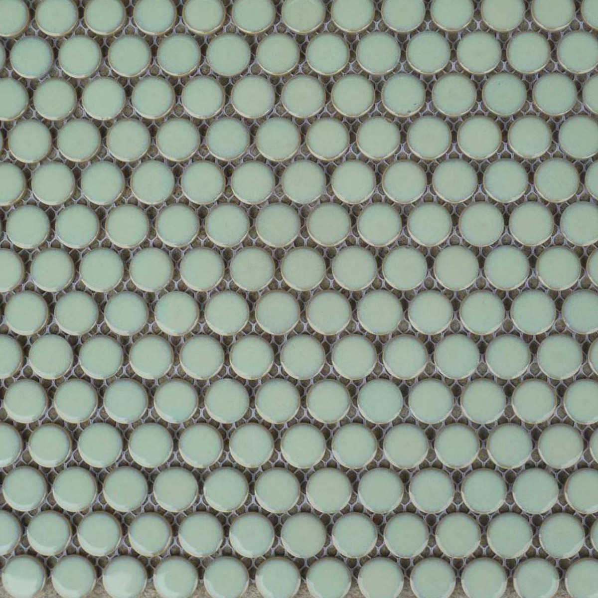 Sea Green Gloss Penny Rounds - Feature Tiles - Stone3 Brisbane