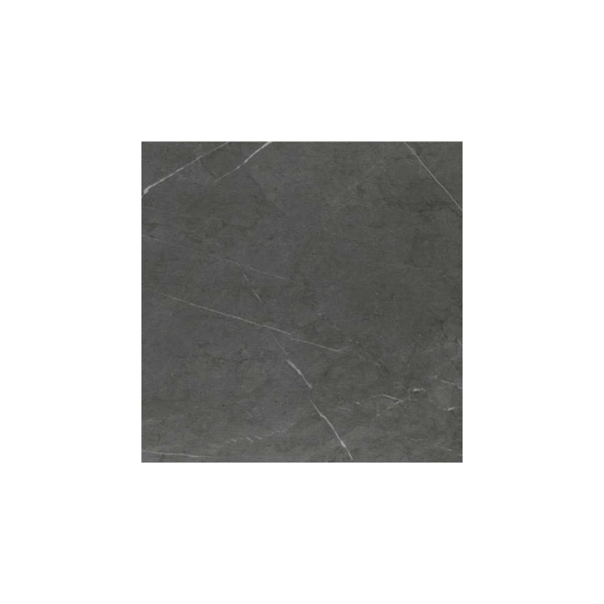 Bracca - Dark Grey - Marble Look Tiles - Stone3 Brisbane