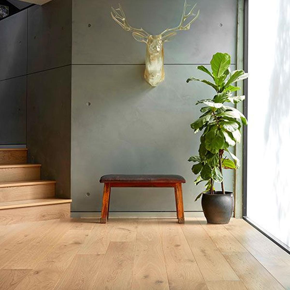 Prestige Oak engineered timber in Champagne by Stone3 Brisbane