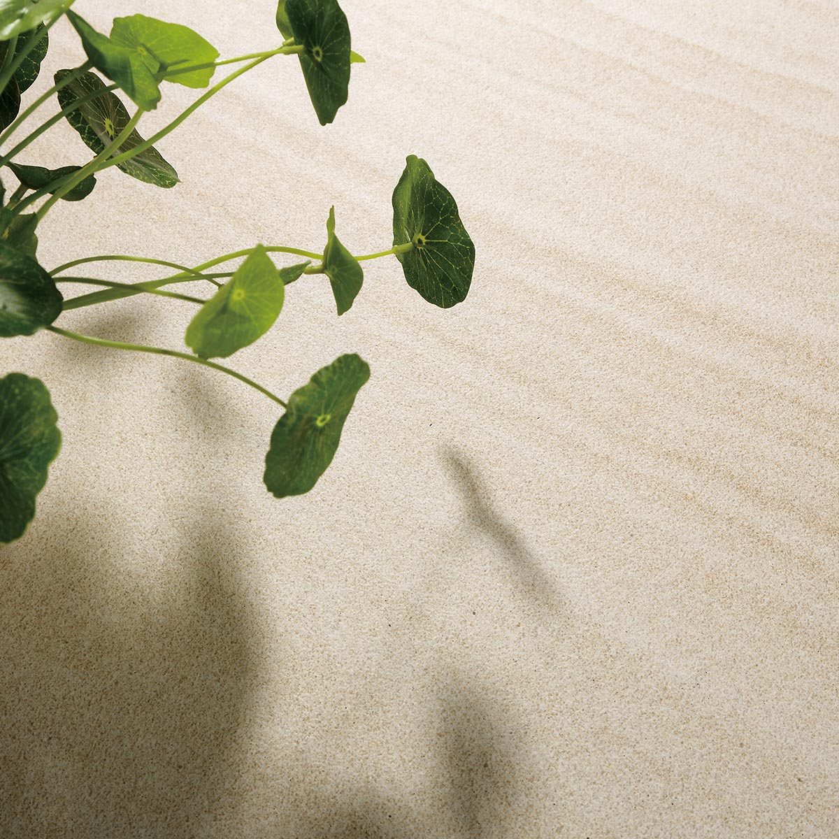 Pyrmont Sandstone stone look tiles by Stone3 Brisbane